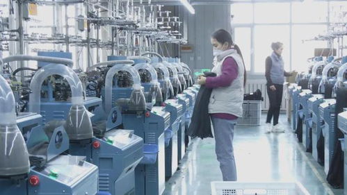 沙雅縣 立足棉花資源優(yōu)勢 讓 白色 產(chǎn)業(yè)大有可為