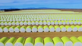 棉花在紡紗廠如何加工處理成細絲