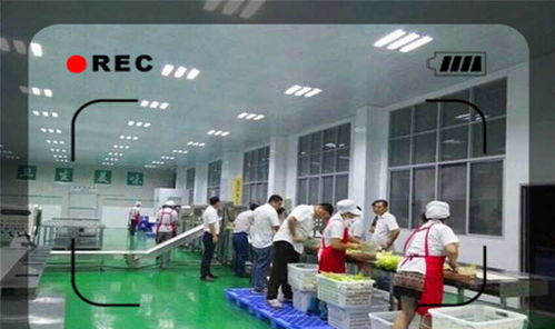 2020加盟小型加工廠的靠譜生意 這幾個不愁銷路