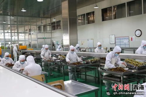 西寧 全力打造農(nóng)畜產(chǎn)品高品質(zhì)精深加工中心