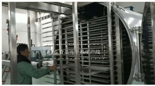 大型食品凍干機(jī)果蔬生產(chǎn)線解決方案