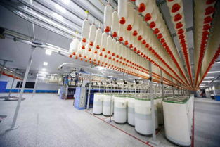 二手紡織設備 第9頁 網優資訊