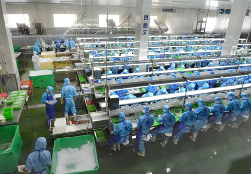 乘風破浪 陽江漁業(yè)產(chǎn)業(yè)駛向高質(zhì)量發(fā)展新航程