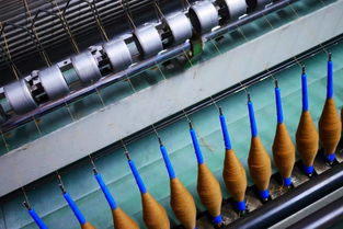 我們愿為你堅守 e家內(nèi)蒙溯源特輯