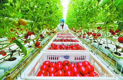 民營經濟 千帆競發