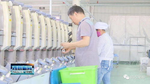 下馬關(guān)鎮(zhèn)三山井村扶貧車間開業(yè)了