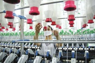 從織造到 智造 的產(chǎn)業(yè)新區(qū)