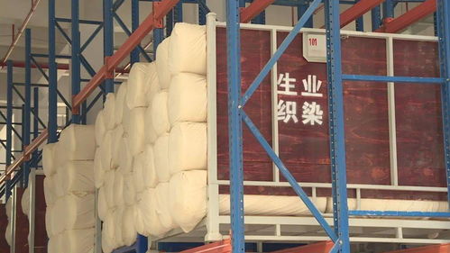 做強做大紡織印染環保處理中心 助推內衣家居服裝行業持續發展