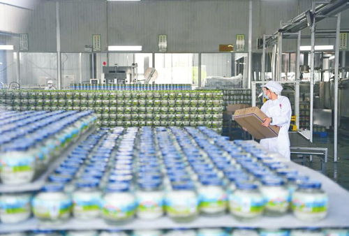 農業園區引領全力打造農業高質量發展 火車頭