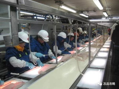 中國水產(chǎn)加工企業(yè)如何提升國外市場議價權