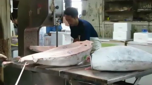 高效精準 現(xiàn)代加工廠處理冰凍金槍魚的印染加工技術